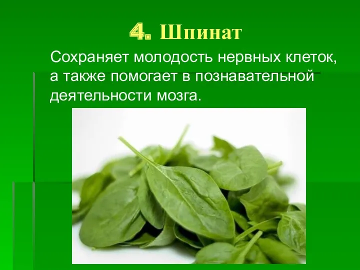 4. Шпинат Сохраняет молодость нервных клеток, а также помогает в познавательной деятельности мозга.