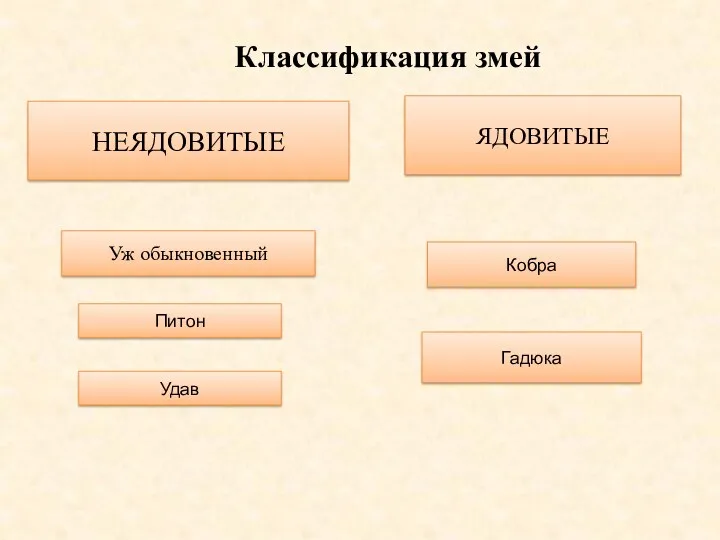 Классификация змей НЕЯДОВИТЫЕ ЯДОВИТЫЕ Уж обыкновенный Питон Удав Кобра Гадюка