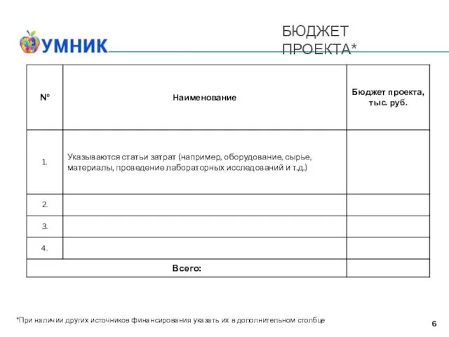 БЮДЖЕТ ПРОЕКТА* 6 *При наличии других источников финансирования указать их в дополнительном столбце