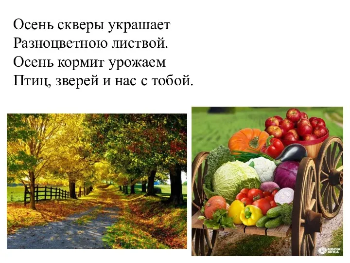 Осень скверы украшает Разноцветною листвой. Осень кормит урожаем Птиц, зверей и нас с тобой.