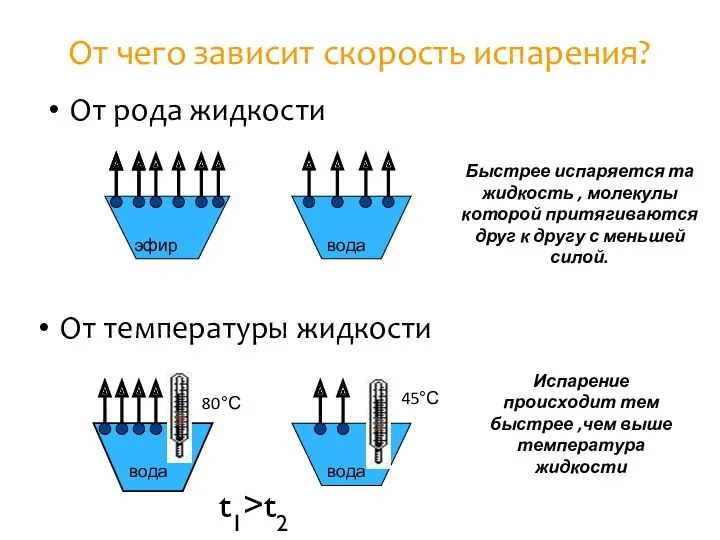 От чего зависит скорость испарения? От рода жидкости эфир вода