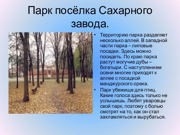 Парк посёлка Сахарного завода. Территорию парка разделяет несколько аллей. В