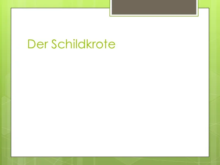 Der Schildkrote