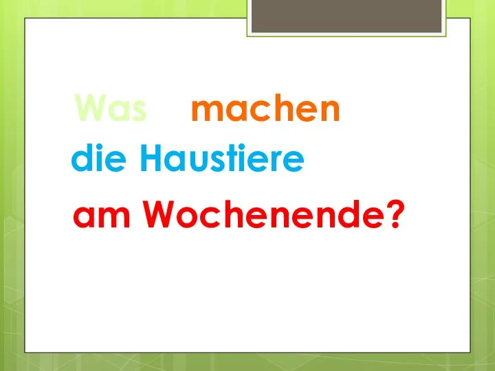 Was machen die Haustiere am Wochenende?