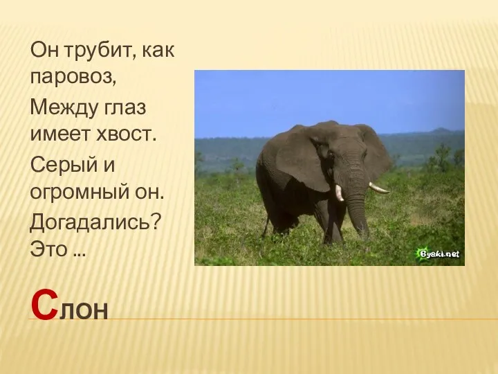 слон Он трубит, как паровоз, Между глаз имеет хвост. Серый и огромный он. Догадались? Это ...