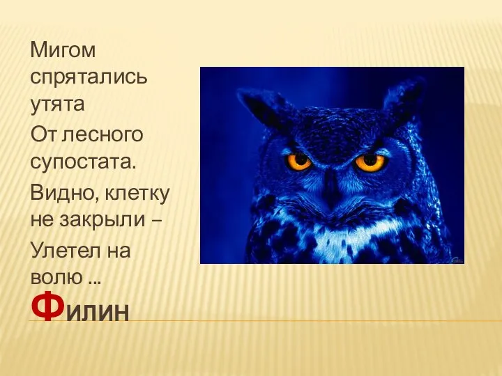 филин Мигом спрятались утята От лесного супостата. Видно, клетку не закрыли – Улетел на волю ...