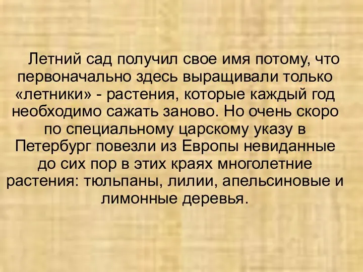 Летний сад получил свое имя потому, что первоначально здесь выращивали