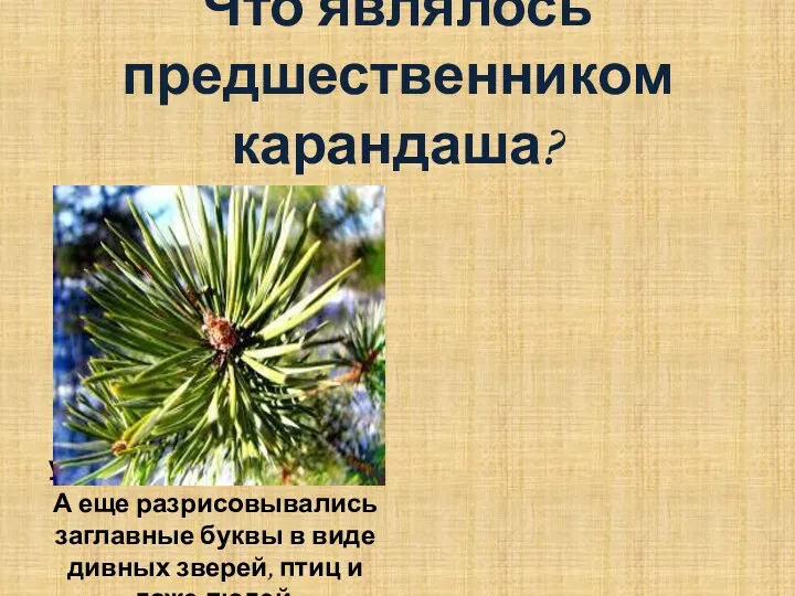 Что являлось предшественником карандаша? Перья — «орудия труда » — ими пользовались вплоть