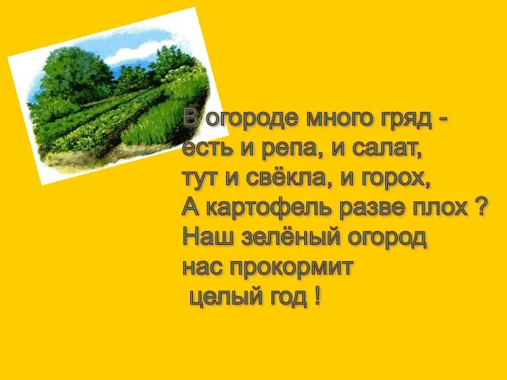 В огороде много гряд - есть и репа, и салат,