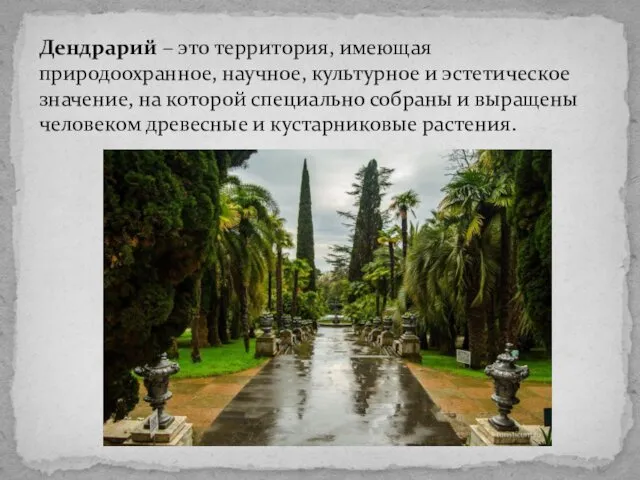 Дендрарий – это территория, имеющая природоохранное, научное, культурное и эстетическое