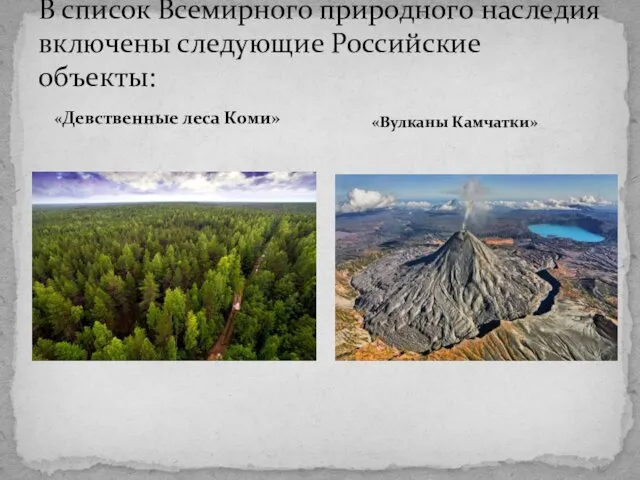 В список Всемирного природного наследия включены следующие Российские объекты: «Девственные леса Коми» «Вулканы Камчатки»