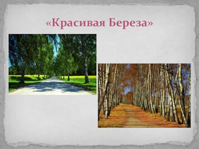 «Красивая Береза»