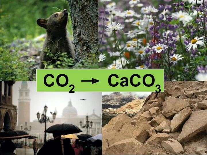 CO2 CaCO3