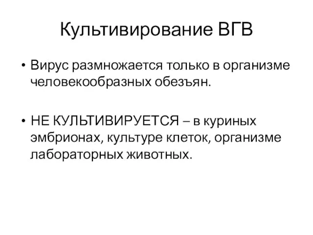 Культивирование ВГВ Вирус размножается только в организме человекообразных обезъян. НЕ