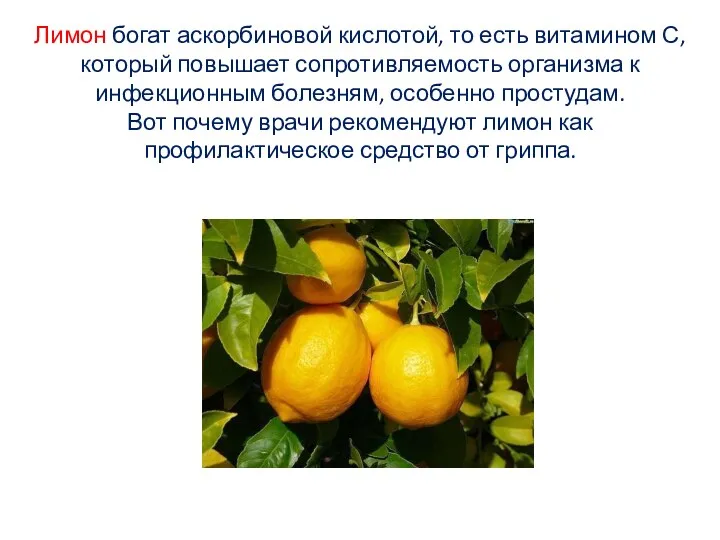 Лимон богат аскорбиновой кислотой, то есть витамином С, который повышает сопротивляемость организма к