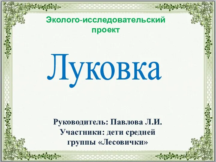 Проект Луковка