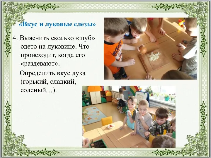 «Вкус и луковые слезы» 4. Выяснить сколько «шуб» одето на луковице. Что происходит,