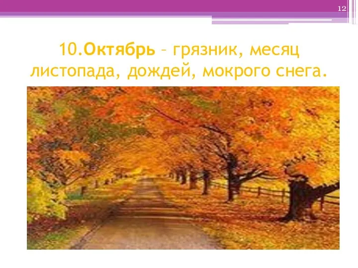 10.Октябрь – грязник, месяц листопада, дождей, мокрого снега.