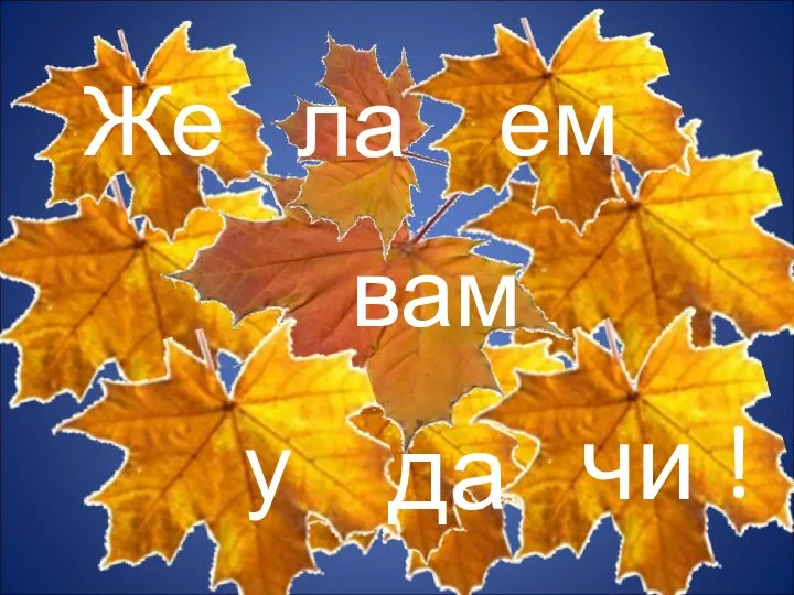 Же ла ем вам у да чи !