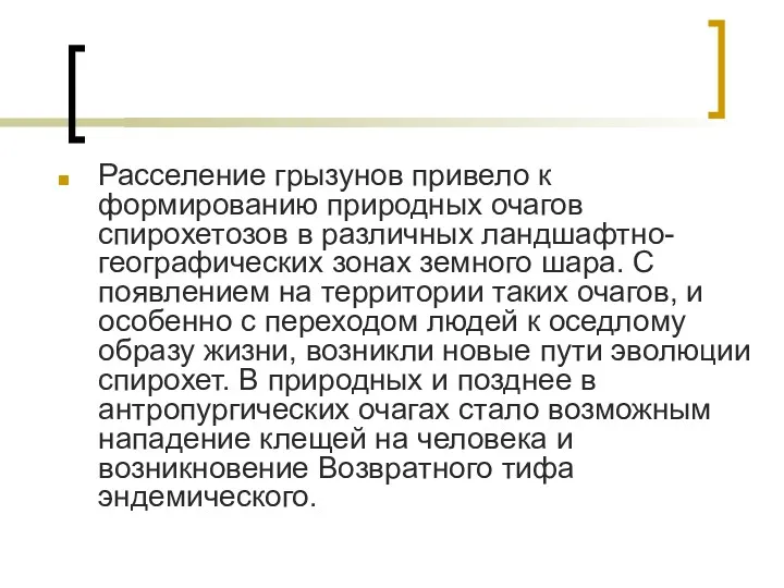 Расселение грызунов привело к формированию природных очагов спирохетозов в различных