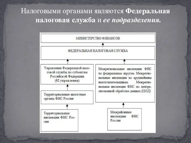 Налоговыми органами являются Федеральная налоговая служба и ее подразделения.