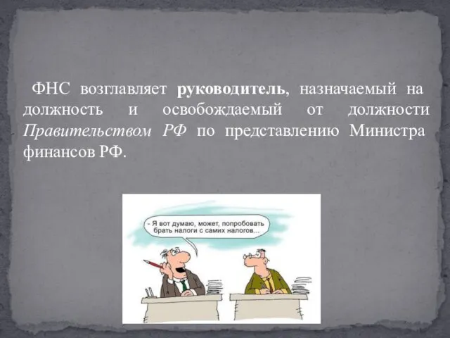 ФНС возглавляет руководитель, назначаемый на должность и освобождаемый от должности