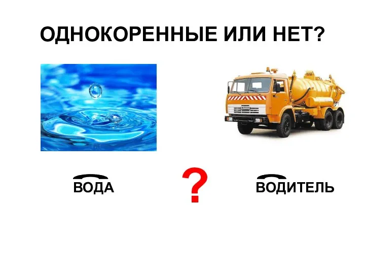 ОДНОКОРЕННЫЕ ИЛИ НЕТ? ВОДА ВОДИТЕЛЬ ?