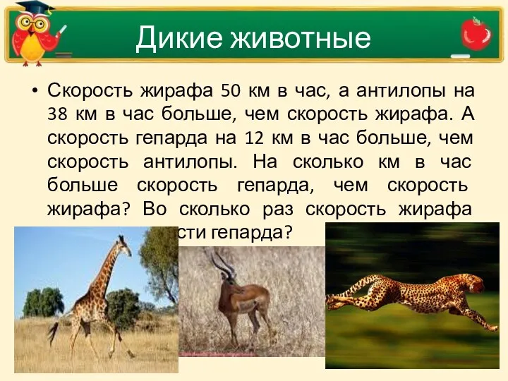 Дикие животные Скорость жирафа 50 км в час, а антилопы