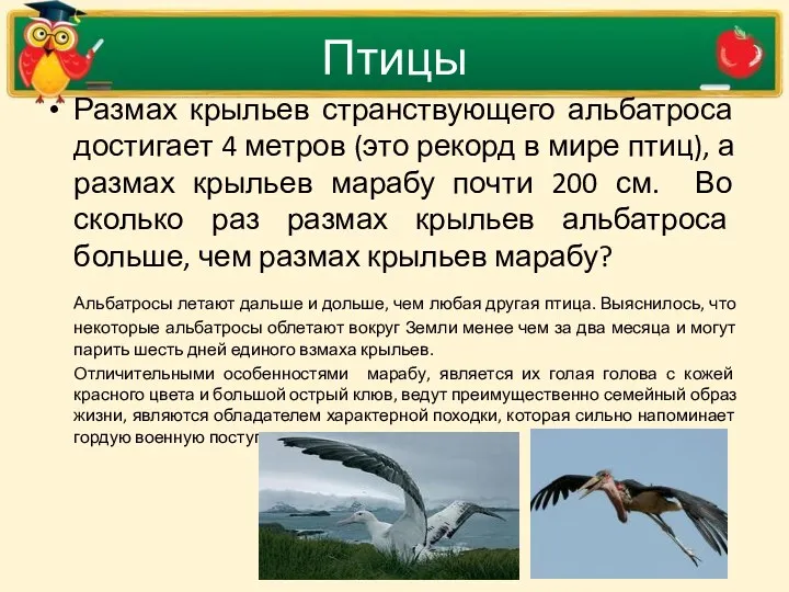 Птицы Размах крыльев странствующего альбатроса достигает 4 метров (это рекорд