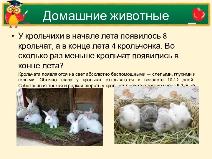 Домашние животные У крольчихи в начале лета появилось 8 крольчат,