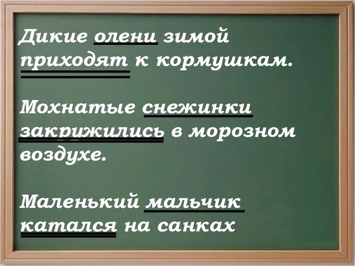 Дикие олени зимой приходят к кормушкам. Мохнатые снежинки закружились в