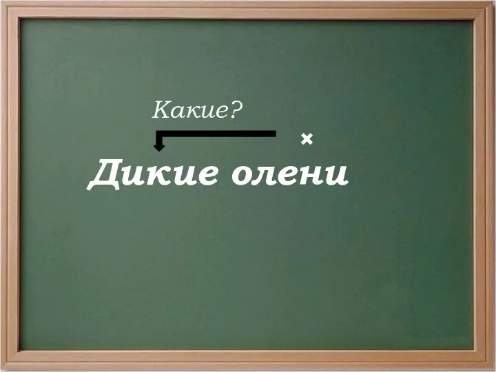 Дикие олени Какие? ×