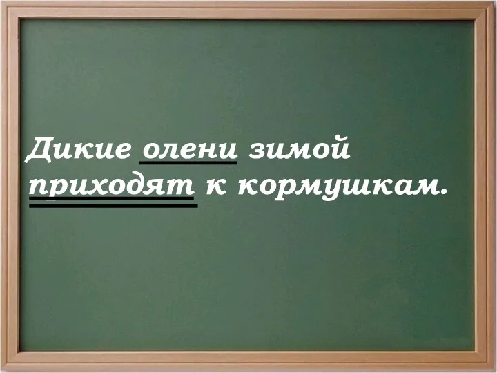 Дикие олени зимой приходят к кормушкам.