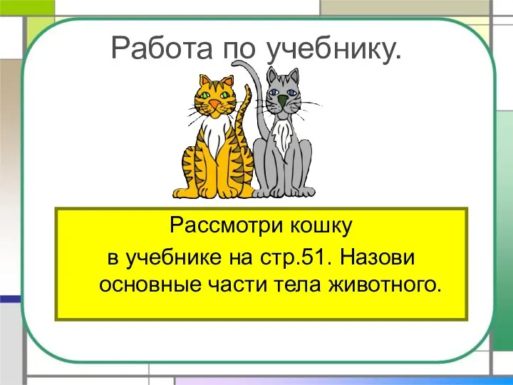 Работа по учебнику. Рассмотри кошку в учебнике на стр.51. Назови основные части тела животного.