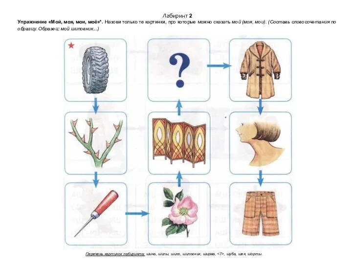 Лабиринт 2 Упражнение «Мой, моя, мои, моё»*. Назови только те