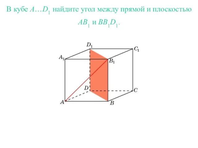 В кубе A…D1 найдите угол между прямой и плоскостью AB1 и BB1D1.