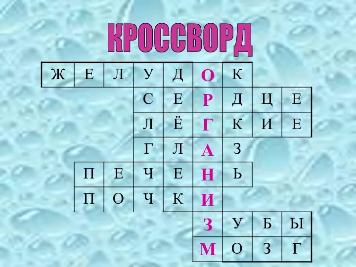 КРОССВОРД