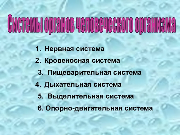 Системы органов человеческого организма Нервная система Кровеносная система 3. Пищеварительная