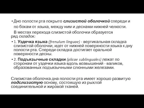 Дно полости рта покрыто слизистой оболочкой спереди и по бокам