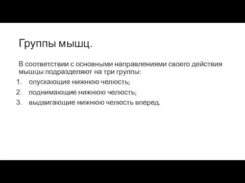 Группы мышц. В соответствии с основными направлениями своего действия мышцы