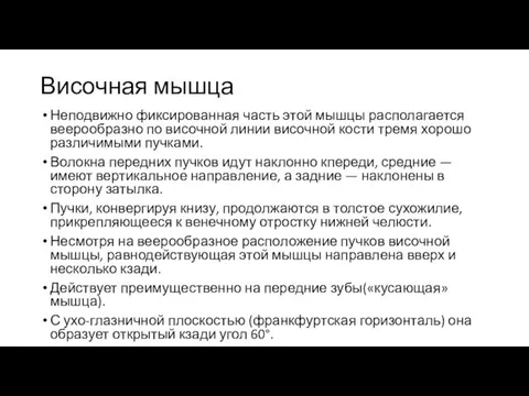 Височная мышца Неподвижно фиксированная часть этой мышцы располагается веерообразно по