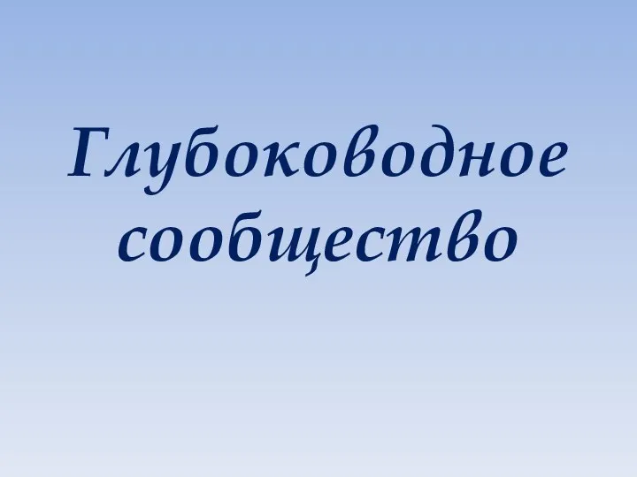 Глубоководное сообщество