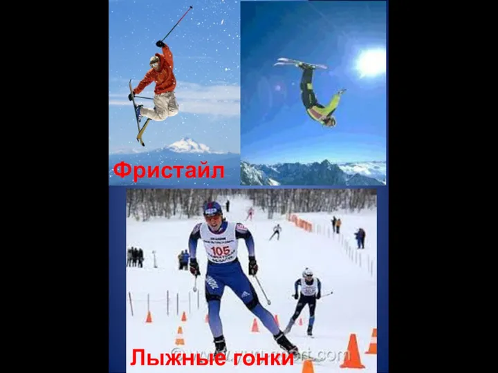 Фристайл Лыжные гонки