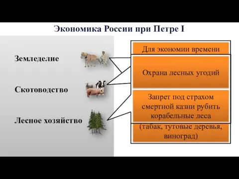 Экономика России при Петре I Земледелие Скотоводство Лесное хозяйство Для
