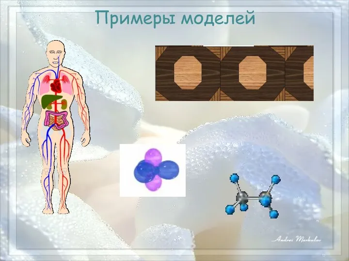 Примеры моделей