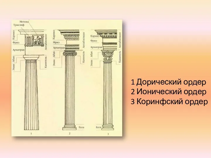 1 Дорический ордер 2 Ионический ордер 3 Коринфский ордер