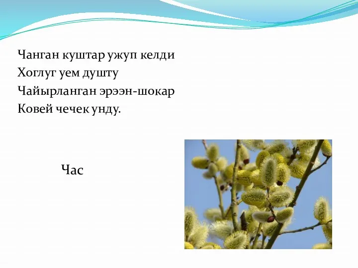 Чанган куштар ужуп келди Хоглуг уем душту Чайырланган эрээн-шокар Ковей чечек унду. Час