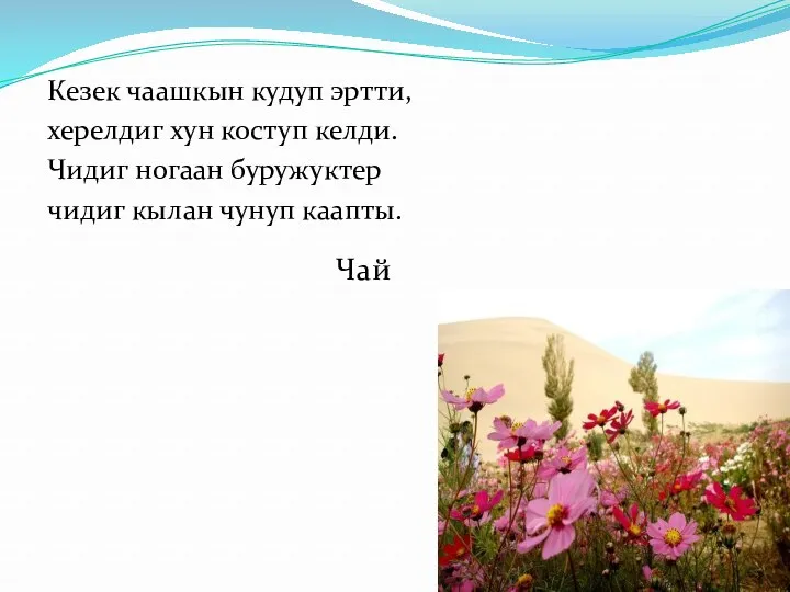 Кезек чаашкын кудуп эртти, херелдиг хун коступ келди. Чидиг ногаан буружуктер чидиг кылан чунуп каапты. Чай