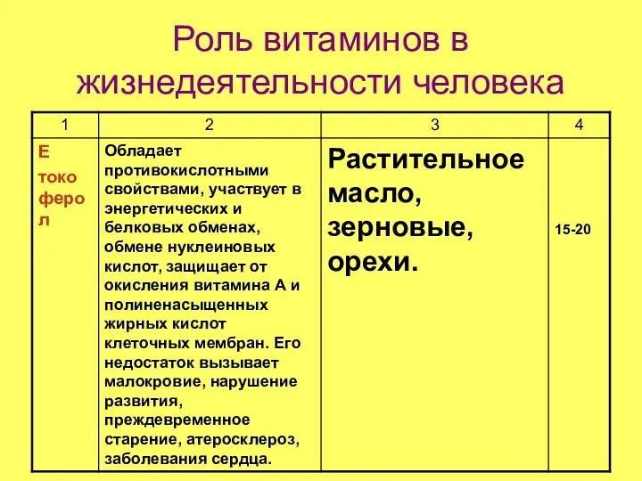 Роль витаминов в жизнедеятельности человека