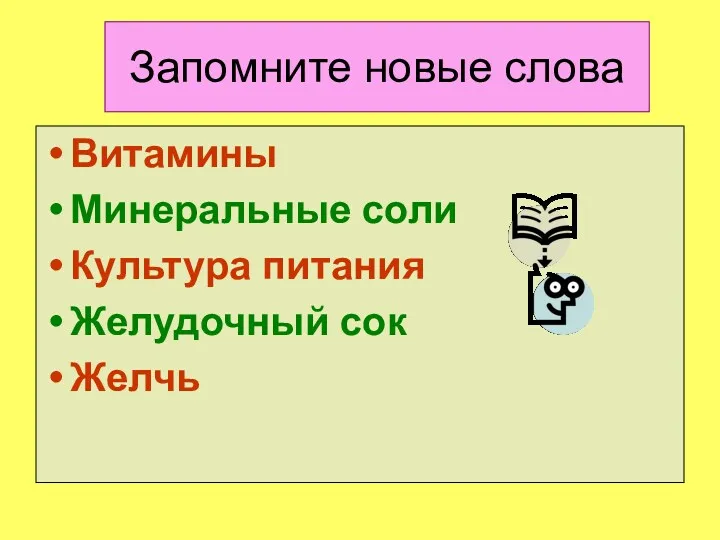 Запомните новые слова Витамины Минеральные соли Культура питания Желудочный сок Желчь